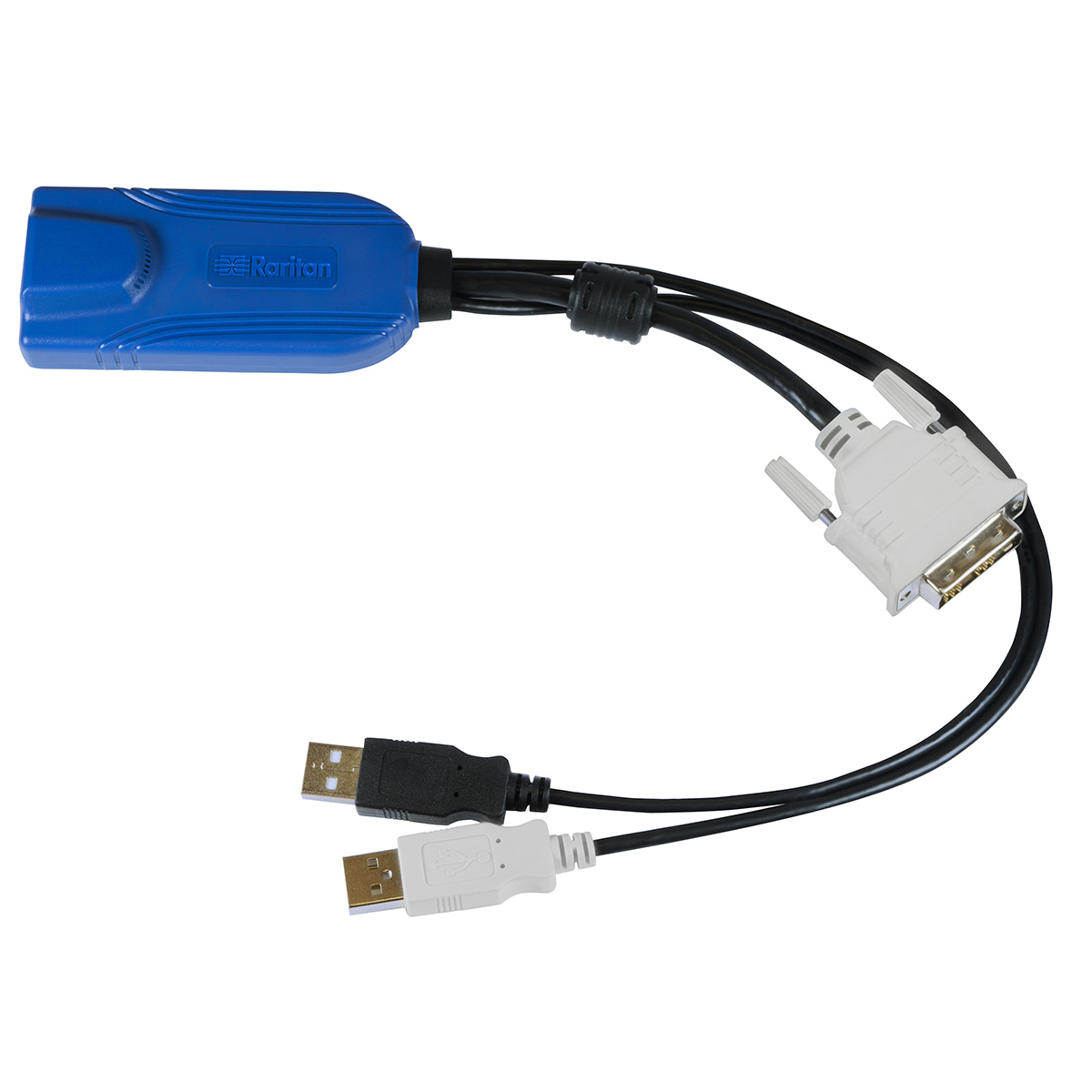 d2cim-dvusb-dvi.jpg